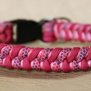 collier en paracorde pour chien