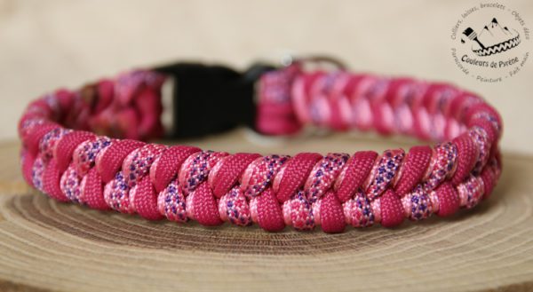 collier en paracorde pour chien