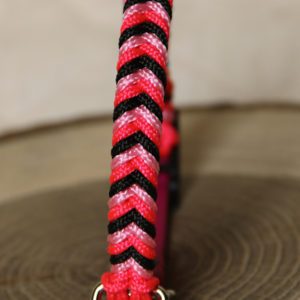 collier en paracorde pour petit chien