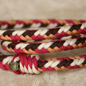 laisse en paracorde pour chien