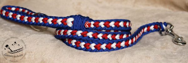 laisse pour chien en paracorde