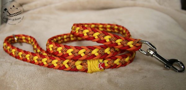 laisse en paracorde pour chien