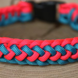 collier en paracorde pour chien