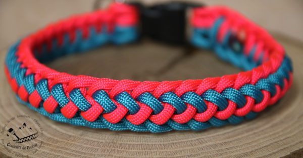 collier en paracorde pour chien
