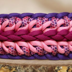 collier en paracorde pour chien