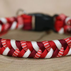 collier en paracorde pour chien