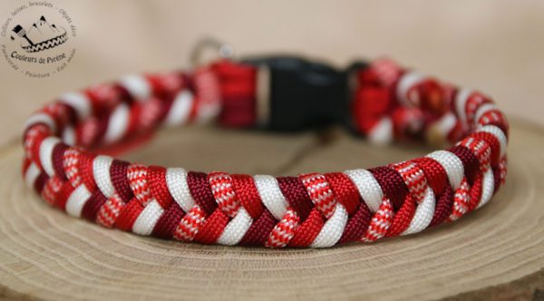 collier en paracorde pour chien