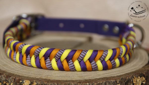 collier pour chien en paracorde réglable