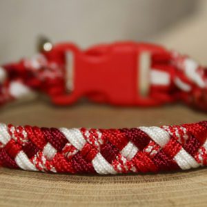 collier fins en paracorde pour petits chiens