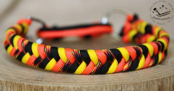collier en paracorde pour petit chien