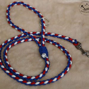 laisse en paracorde pour petit chien