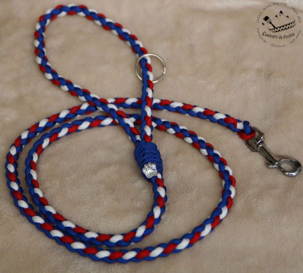 laisse en paracorde pour petit chien