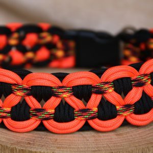 collier en paracorde pour grand chien