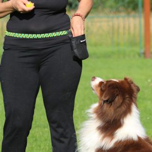 ceinture d'éducation en paracorde