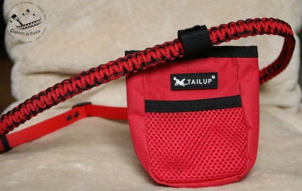 ceinture d'éducation en paracorde