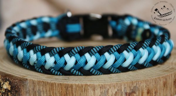 collier en paracorde pour chien