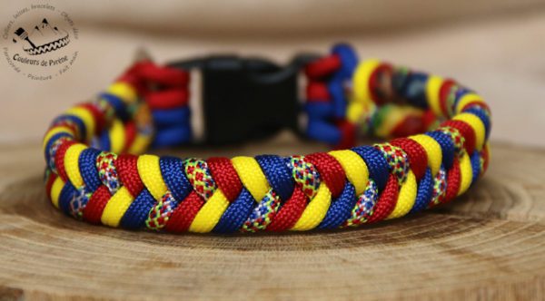 collier en paracorde coloré pour chien