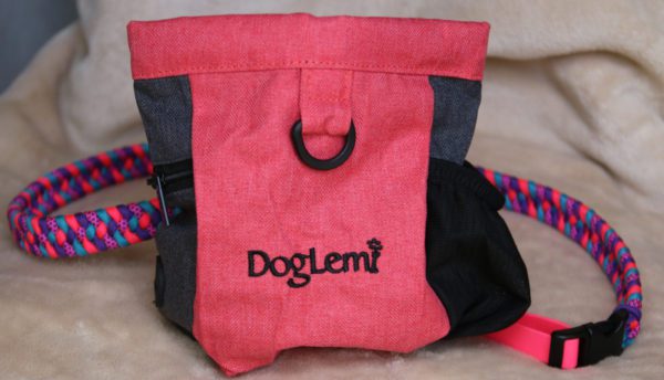 ceinture d'éducation en paracorde