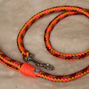 laisse en paracorde pour chien