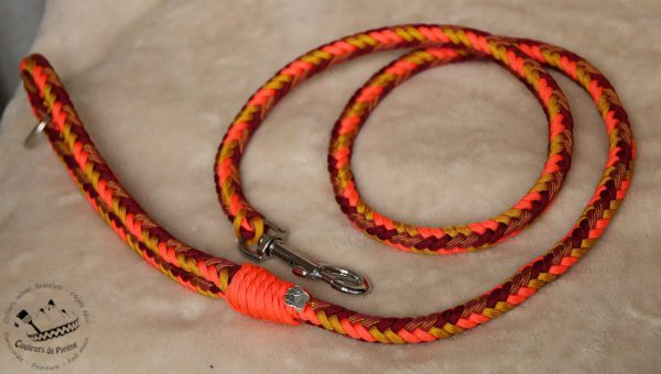 laisse en paracorde pour chien