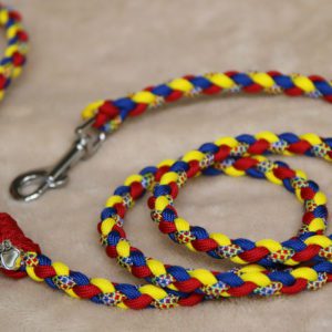 laisse en paracorde pour petit chien