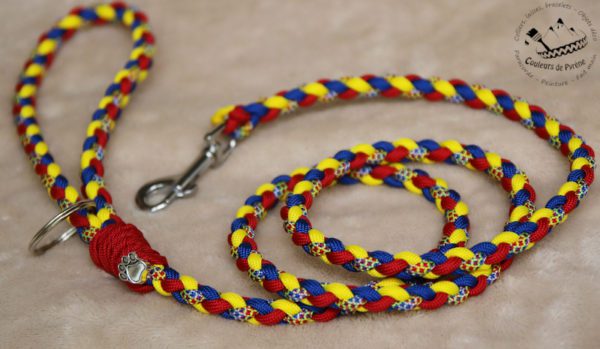 laisse en paracorde pour petit chien