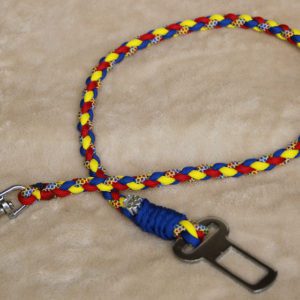 laisse de sécurité pour chien