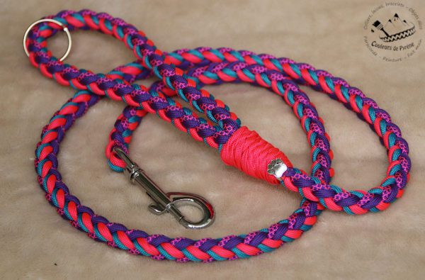 laisse en paracorde pour chien