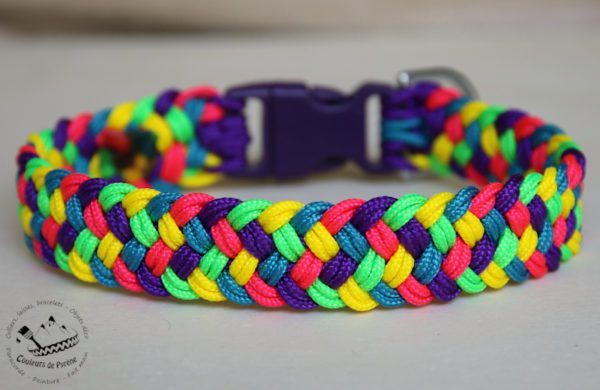 collier en paracorde fine pour petit chien