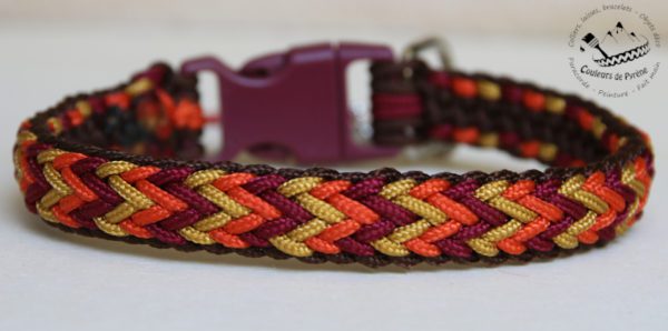 collier à personnaliser pour petits chiens
