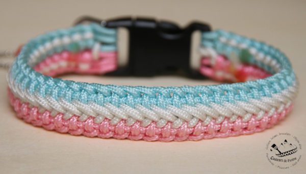 collier en paracorde pour petit chien