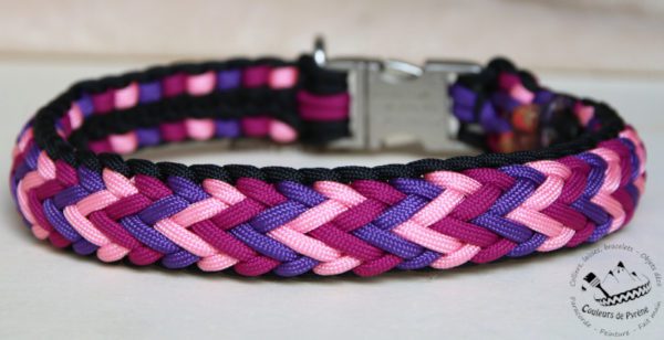 collier en paracorde pour chien