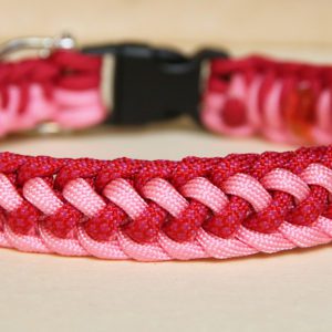 collier en paracorde pour chien