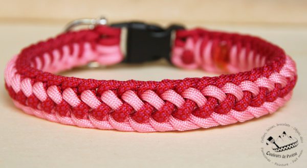 collier en paracorde pour chien