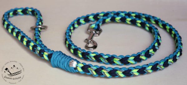 laisse en paracorde pour chien