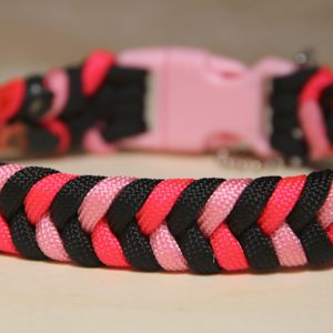 collier en paracorde pour chien
