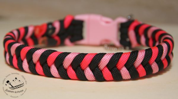 collier en paracorde pour chien
