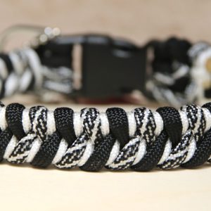collier en paracorde pour chien