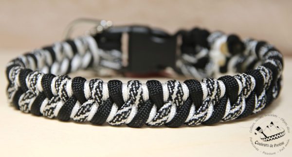 collier en paracorde pour chien