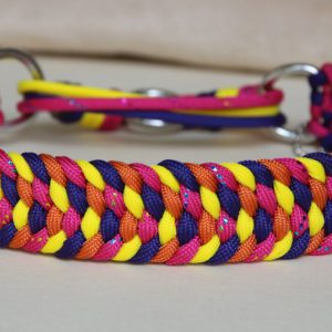 collier en paracorde pour chien