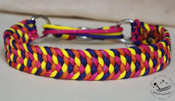 collier en paracorde pour chien