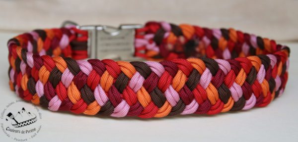 collier en paracorde pour grand chien