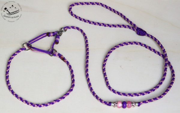 collier et laisse d'exposition