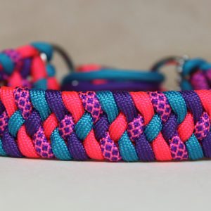 collier en paracorde pour chien
