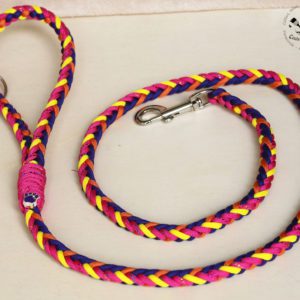 laisse en paracorde pour chien