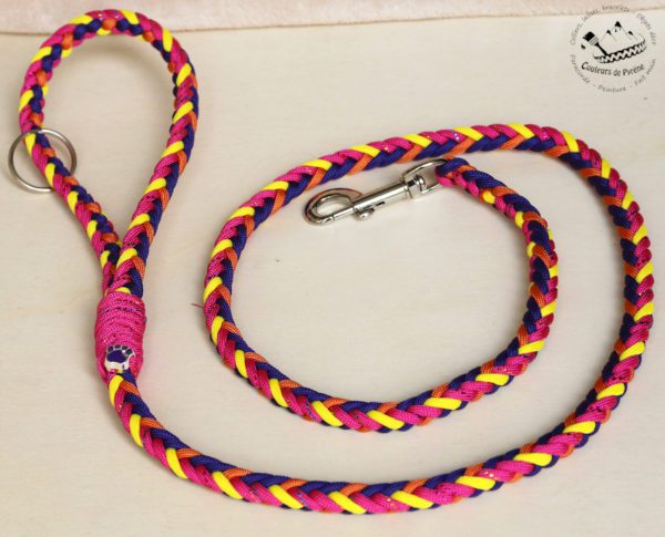 laisse en paracorde pour chien