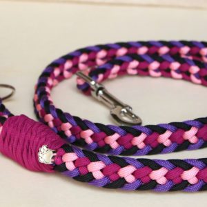laisse en paracorde pour chien