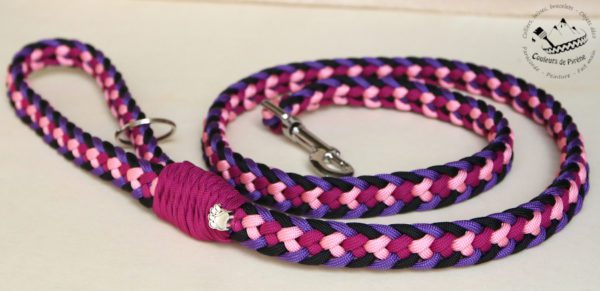 laisse en paracorde pour chien