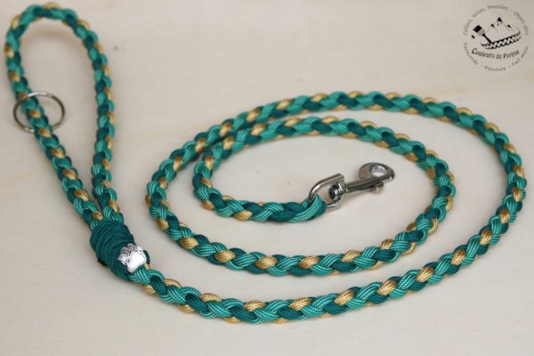 laisse en paracorde pour chien