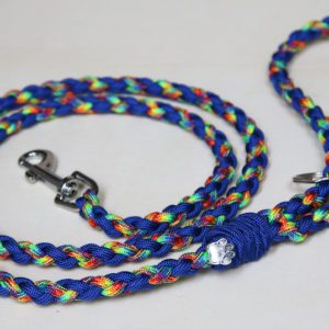 laisse en paracorde pour chien